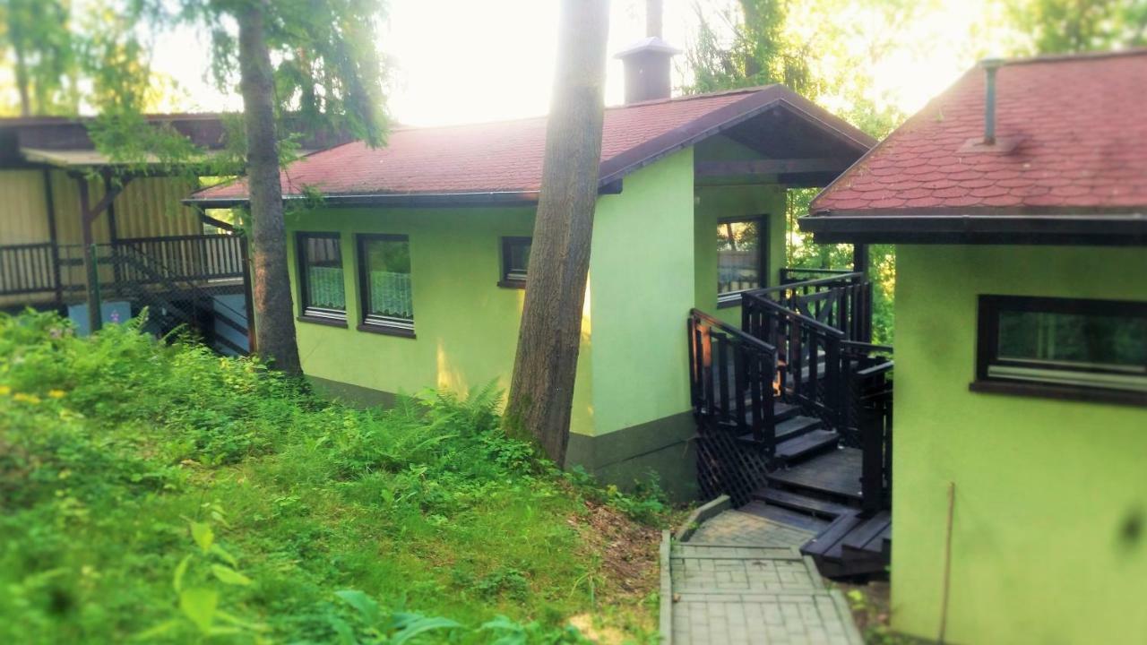 Kompleks Wypoczynkowo - Sportowy "Marysienka" Villa Miedzybrodzie Bialskie Exterior photo